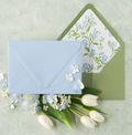 Main Envelopes
